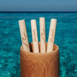 Salty Straws – Set of 4 – Coconut Bowls