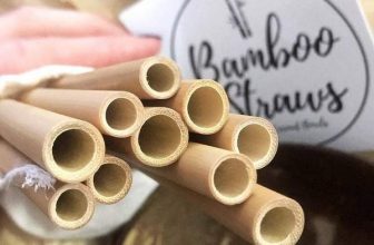 Take our #sucksustainably Plastic Straw Pledge – Coconut Bowls