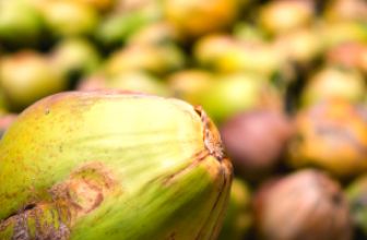 COCONUT BOWLS | COCO CHARITY ANNOUNCEMENT  – Coconut Bowls