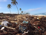The issue with plastic – Coconut Bowls